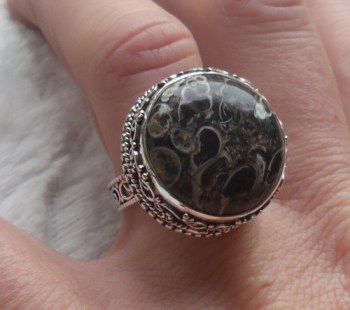 Zilveren ring ronde Turitella Agaat in bewerkte setting 17 mm